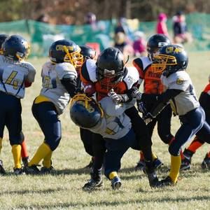 Meet your Posher, Porter